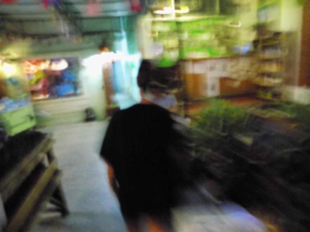 The Oasis Hostel (Adults Only) Bangkok Ngoại thất bức ảnh